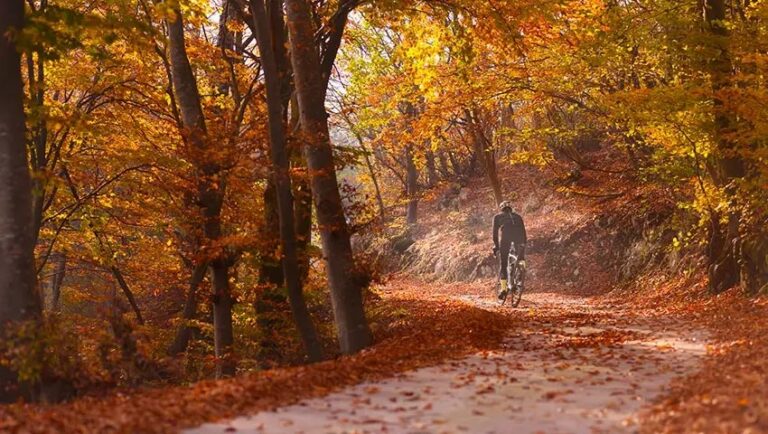 Sip & Explore Trail