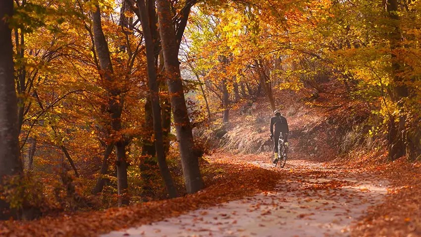 Sip & Explore Trail